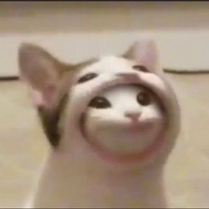 Meet your Posher, Will